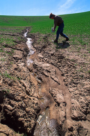 soil erosion in a wheat field in Washington state; image courtesy of Jack Dykinga