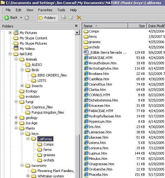 directory structure using My Computer