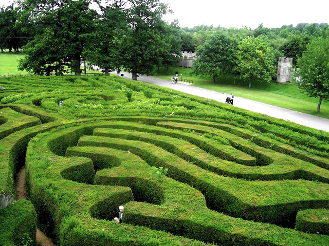 Maze of more than 16,000 English Yews, Longleat; image courtesy of Lewis Clarke, UK, via Wikimedia Commons