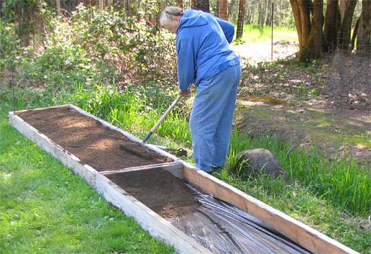 building raised garden beds