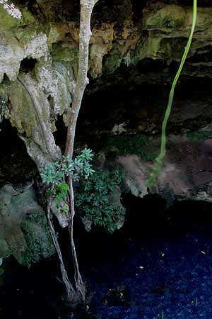 Cenote in Yaxunah