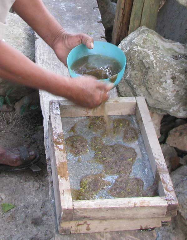 Handfuls of mixed fibers are plopped into a mold consisting of two wooden frames and close-meshed wire.