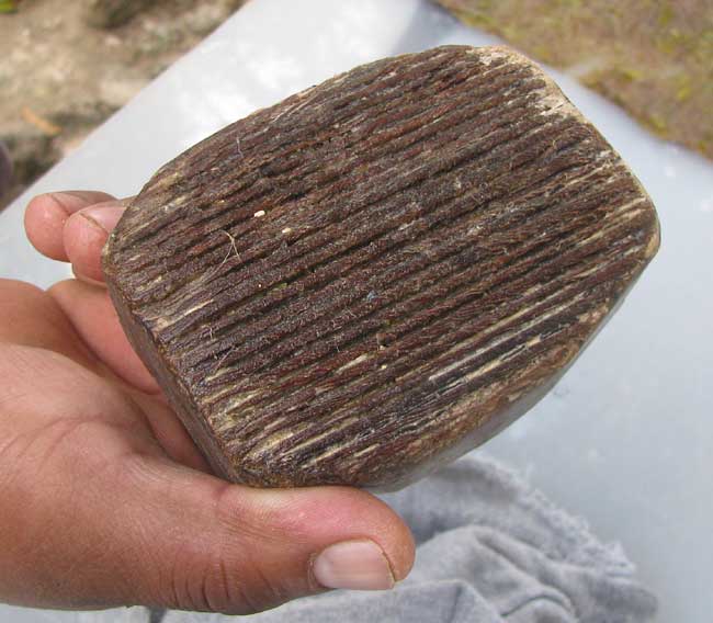 The hand-carved, wooden pounder.