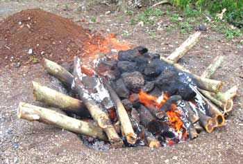 Pit, or "pib," for roasting pork for cochinita pibil