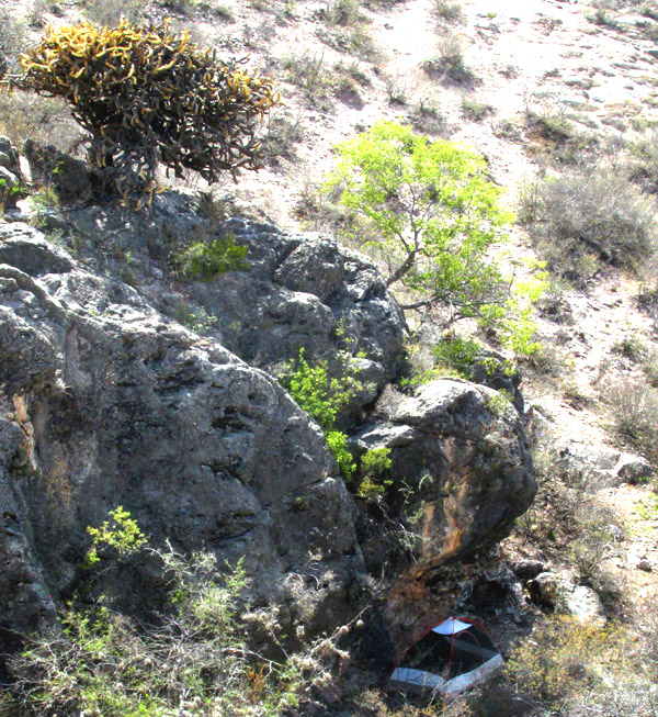 cliff of outcropping greywacke