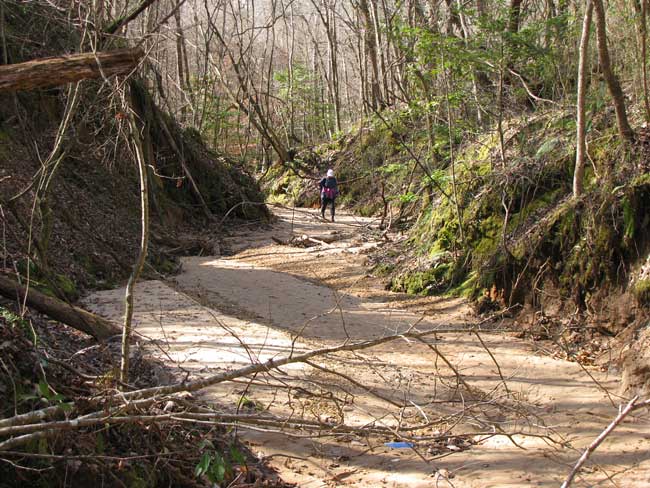 Bayou in Loess Hills of Mississippi