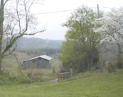 barn view