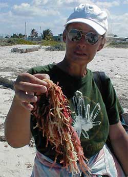 Karen with some seaweed